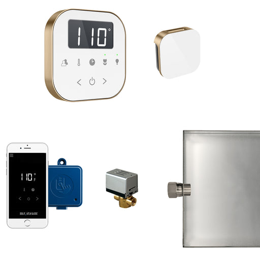 AirButler Steam Generator Control Kit / Package in White Brushed Bronze