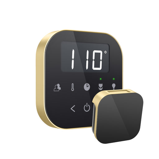 AirTempo® Steam Shower Control in Black with Satin Brass