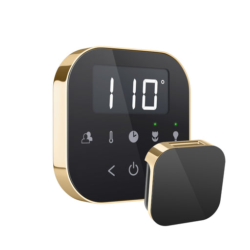 AirTempo® Steam Shower Control in Black with Polished Brass