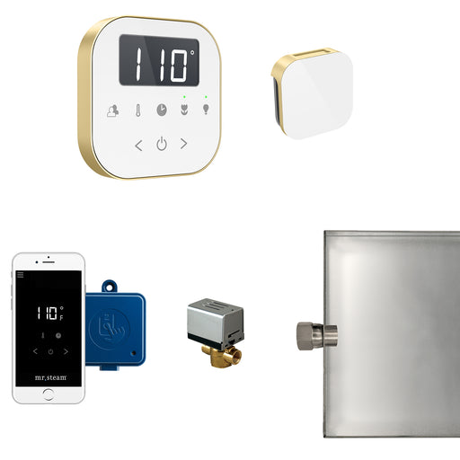 AirButler Steam Generator Control Kit / Package in White Satin Brass