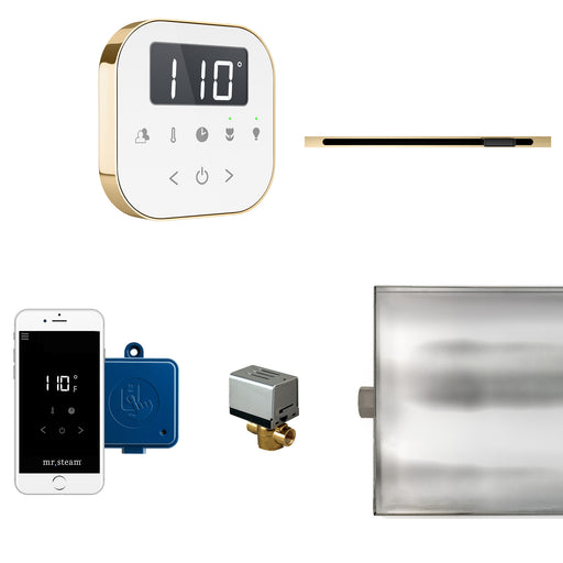 AirButler Linear Steam Generator Control Kit / Package in White Polished Brass
