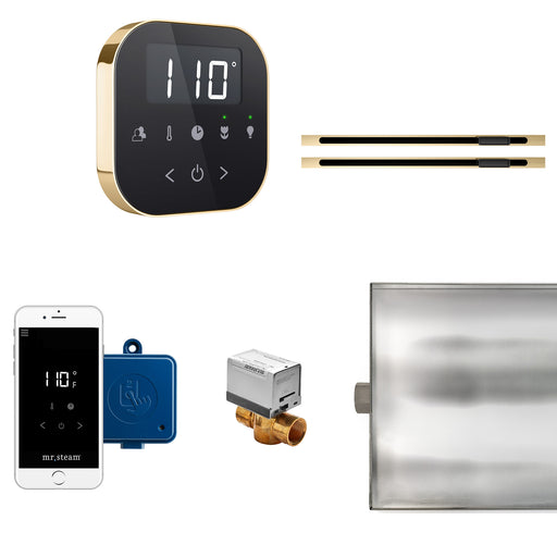 AirButler Max Linear Steam Generator Control Kit / Package in Black Polished Brass