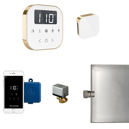 AirButler Steam Generator Control Kit / Package in White Polished Brass