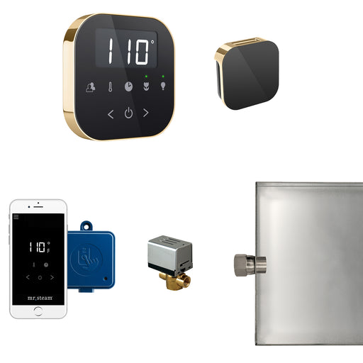 AirButler Steam Generator Control Kit / Package in Black Polished Brass
